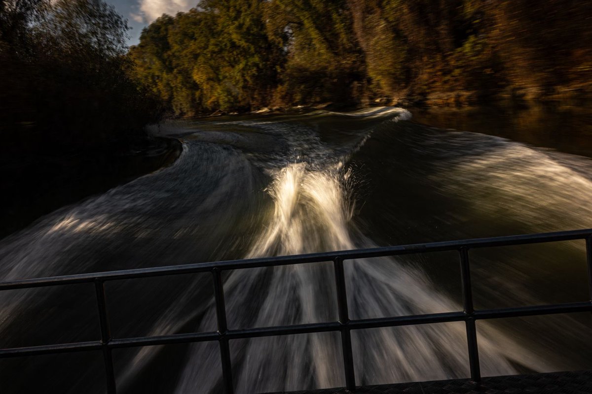 când am fost în deltǎ #romania #rowmania #natgeoyourshot