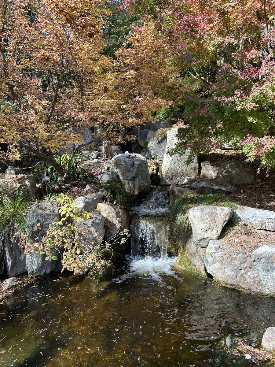 Eric Lundman tweet media