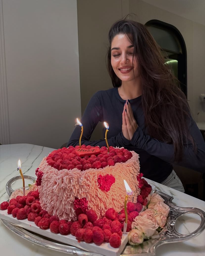 savcimiyy's tweet photo. what a beautiful dump👑🎉 #HappyBDayHandeErçel https://t.co/85VqXIwo7d