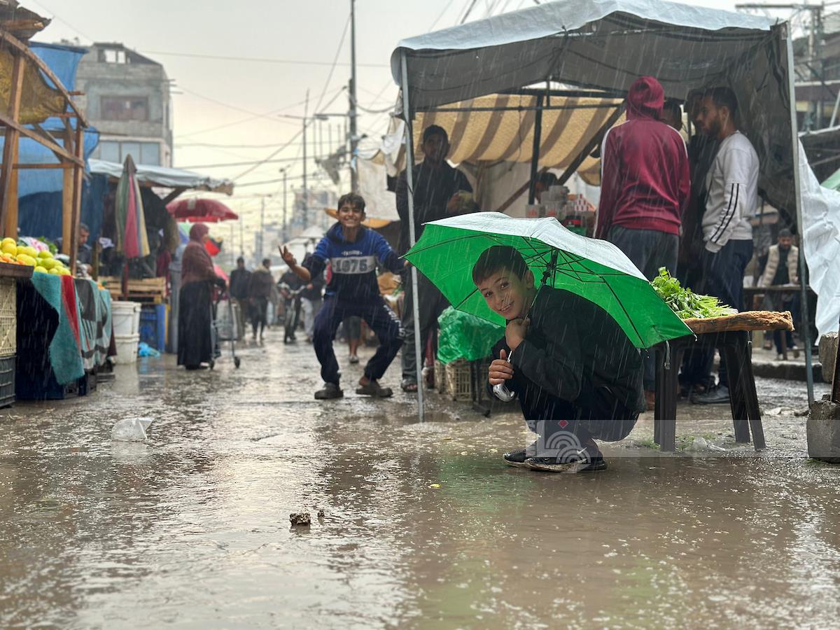 WAFA News Agency - English tweet media