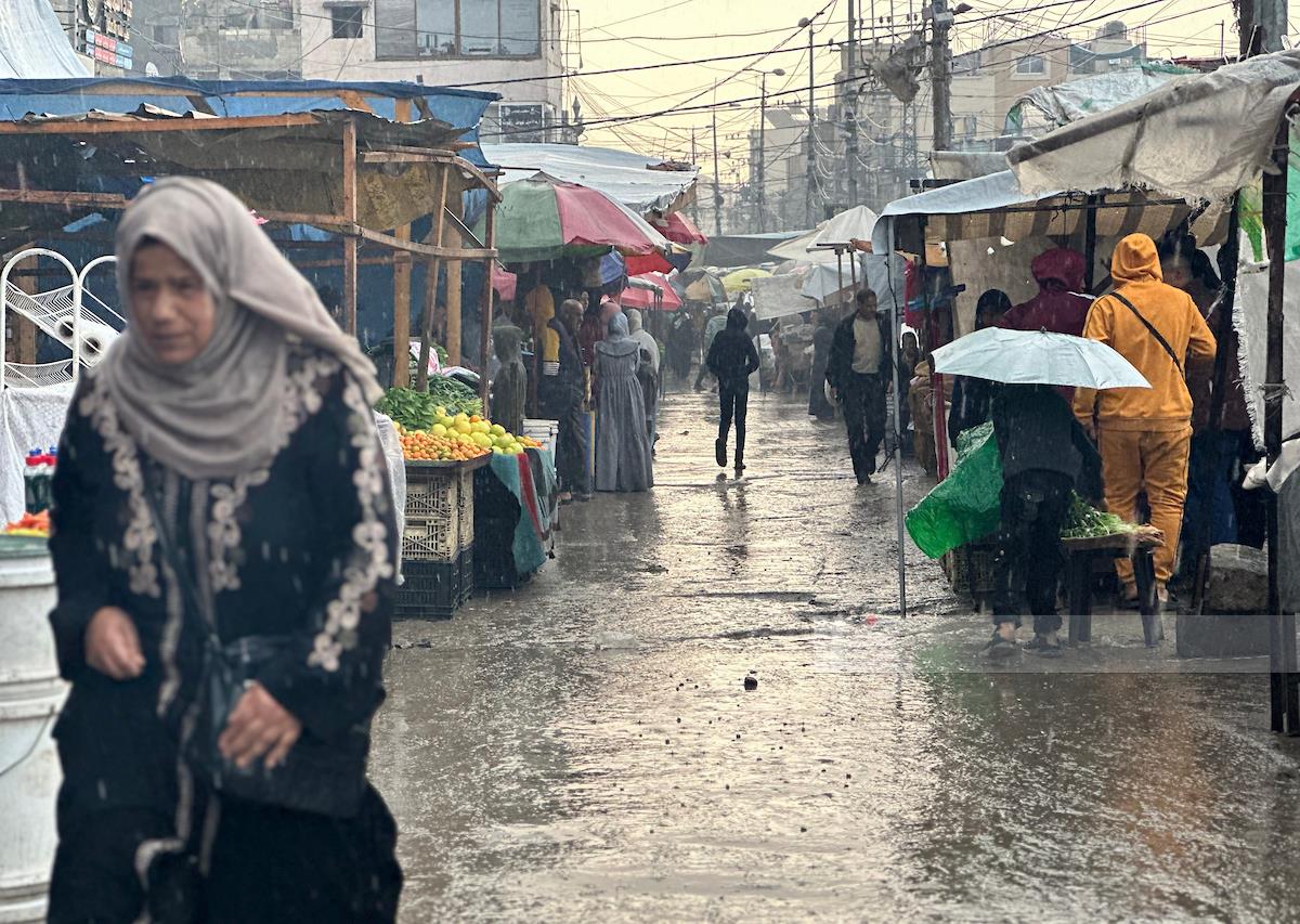 WAFA News Agency - English tweet media