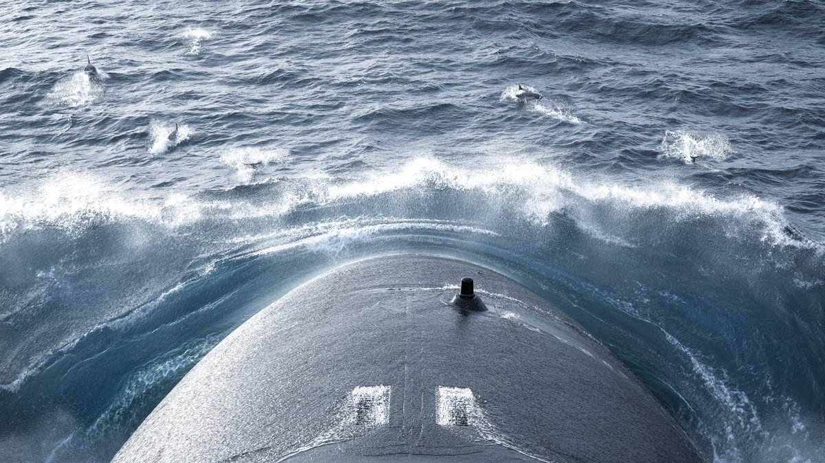 Ewan Lebourdais ⚓️ (@ewan_foto) on Twitter photo Wahou ! La couv, la deux et la trois en toutes éditions <a href="/LeTelegramme/">Le Télégramme</a> ! Merci beaucoup... ⚓️🇫🇷
ewan-photo.fr/commander-livr…
<a href="/PeintresM/">Peintres officiels de la Marine⚓</a> <a href="/MarineNationale/">Marine nationale</a> <a href="/navalgroup/">Naval Group</a> <a href="/cmarkea/">Crédit Mutuel Arkéa</a> <a href="/marinepool/">Marinepool</a> <a href="/ImpEscourbiac/">ImprimerieEscourbiac</a> Wahou ! La couv, la deux et la trois en toutes éditions <a href="/LeTelegramme/">Le Télégramme</a> ! Merci beaucoup... ⚓️🇫🇷
ewan-photo.fr/commander-livr…
<a href="/PeintresM/">Peintres officiels de la Marine⚓</a> <a href="/MarineNationale/">Marine nationale</a> <a href="/navalgroup/">Naval Group</a> <a href="/cmarkea/">Crédit Mutuel Arkéa</a> <a href="/marinepool/">Marinepool</a> <a href="/ImpEscourbiac/">ImprimerieEscourbiac</a>