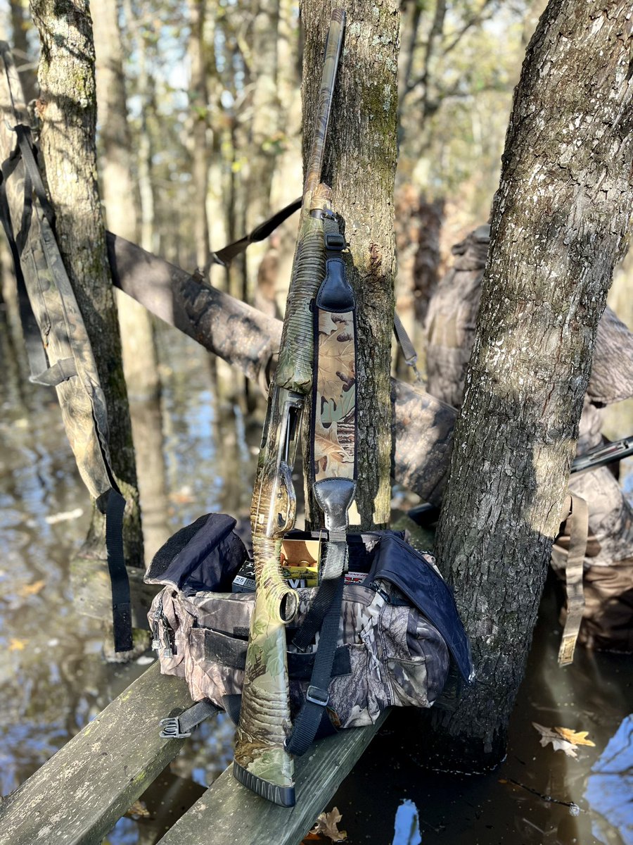 MayorJohnHolden's tweet photo. Day 2 of duck season in Arkansas, pretty good little shoot! #slickshuntinglodge
#stuttgarthuntingclub #timberhunting https://t.co/6Nuixjq2o3