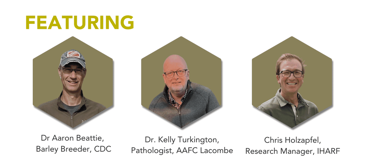 SaskBarley's tweet photo. Join us for an exciting evening filled with brisket, beer, and barley! 🍻 #BarleyBinLIVE features leading experts in variety development, disease management, and agronomy. 

📆 December 5 | 6 - 9 PM | Nipawin, SK 
🎫 Free | 🔗 https://t.co/W3gSfmFSxF

#SaskAg #BeefandBeer https://t.co/Izkwkjznmk