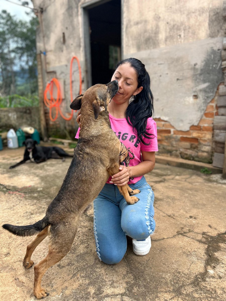 caogonhal's tweet photo. Congonhal/MG

Rodolfinho é um cão super amoroso e aguarda há anos por um lar.

Tem porte médio-pequeno
Castrado
Vacinado
Protegido de pulgas e carrapatos
Sociável e brincalhão
Ama colo

Muda a história de um cão de abrigo. Adote! 

Contato para adoção pelo WhatsApp (35)99889-4434 https://t.co/iRnJAietf3