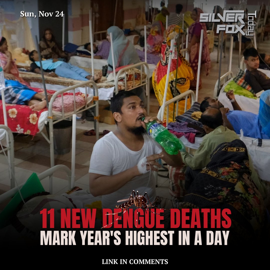 silverfox_today's tweet photo. Bangladesh recorded 11 more dengue-related deaths in the past 24 hours, marking the highest single-day fatality count this year.

#DengueOutbreak 
#bangladeshhealthcrisis 
#DengueAwareness 
#mosquitocontrol 
#publichealth

Source: @tbsnewsbd https://t.co/Wn8NuuGhIb