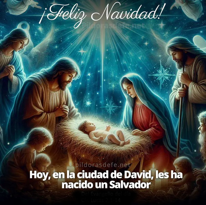 Carlos von Rider tweet media