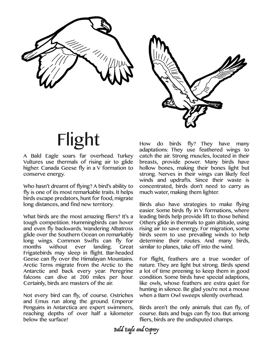 "What birds are the most amazing fliers? It’s a tough competition. ... Common Swifts can fly for months without ever landing. Great Frigatebirds may sleep in flight. Bar-headed Geese can fly over the Himalayan Mountains." Find the book at colorbird.org