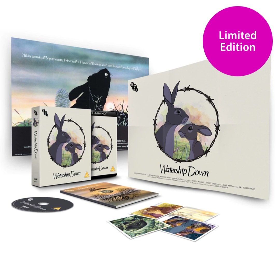🐇🌲 Watership Down 🌲🐇
"One of my favourite childhood films. With stunning artstyle, intense story and very charming characters (with amazing voice acting to match), this is a truly iconic piece of British media." - Lee
#watershipdown <a href="/BFI/">BFI</a> #collectors #bfi #British #review