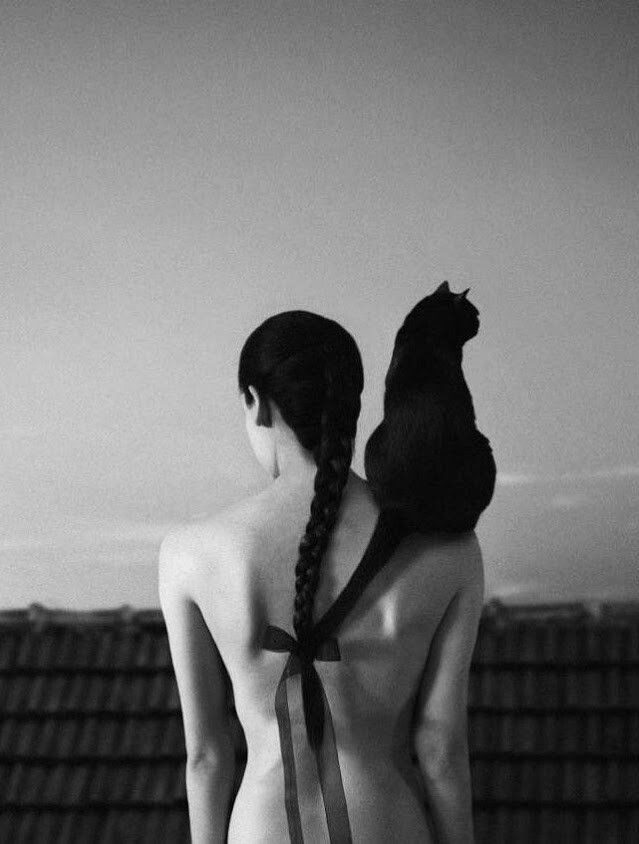 Azelia Farkas (@azeliafarkas) on Twitter photo 