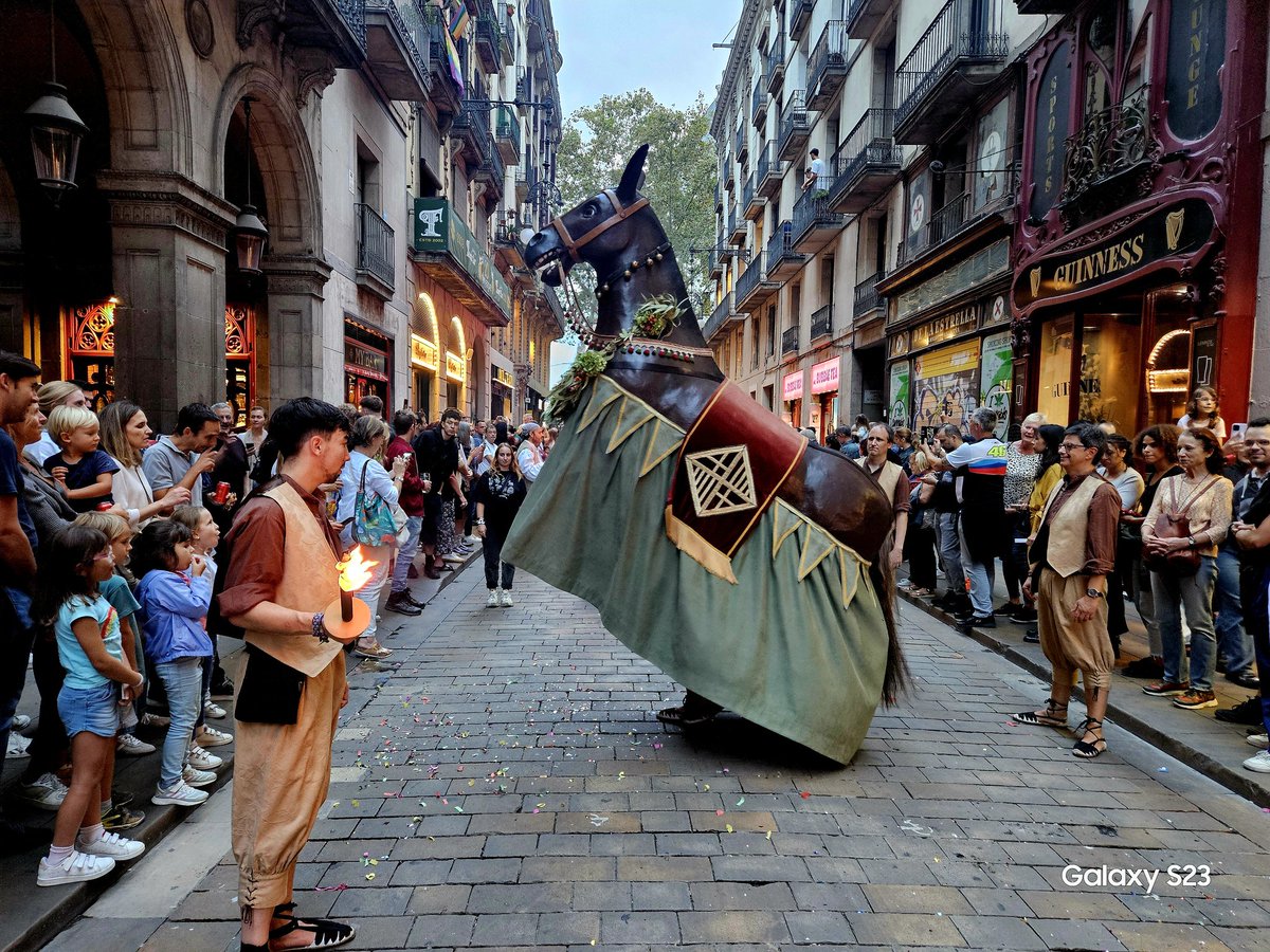 Avui és el Dia Europeu del Bestiari Festiu! 🦁🐴

Visca el bestiari! 🎉

#culturapopular #Barcelona #Catalunya #gegants #Mulassa #Lleó