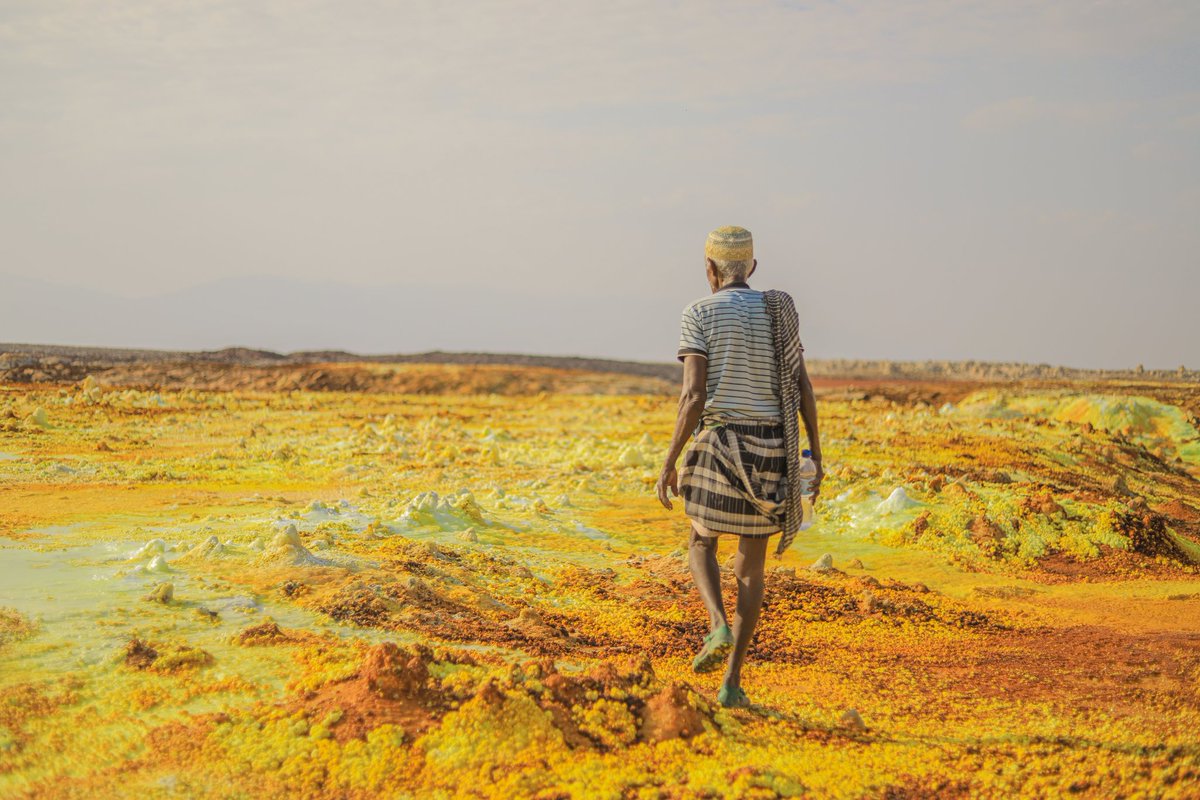 251Michael's tweet photo. Danakil Depression
It's not just a place : It's a feeling!! 
 
#Ethiopia #danakil #ertaale #dankalia #danakildepression #dallol #afar #visitafar #travelphotography #travelethiopia #visitethiopia #tourismethiopia #landoforigins #ethiopiatravel https://t.co/Cb3fmPJz7e
