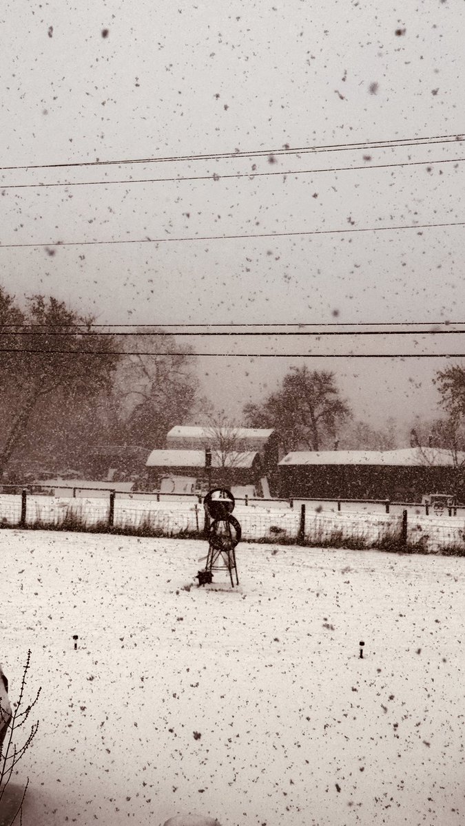 CondensedScore's tweet image. Good morning!