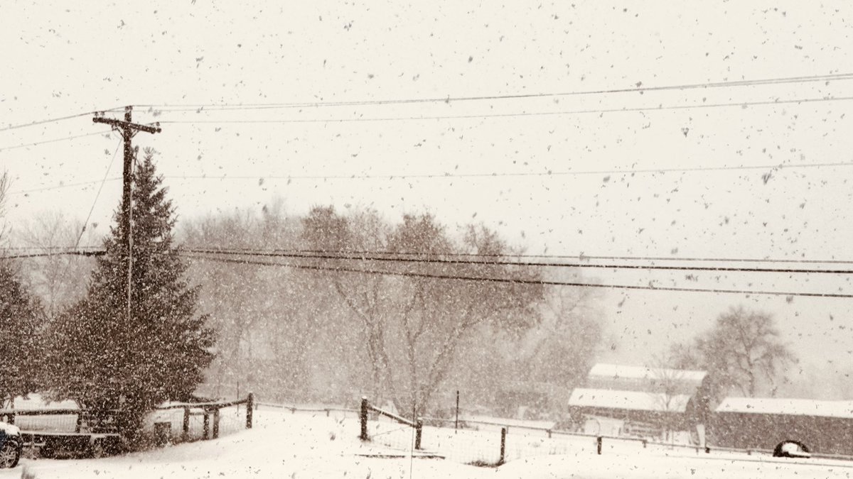 CondensedScore's tweet image. Good morning!