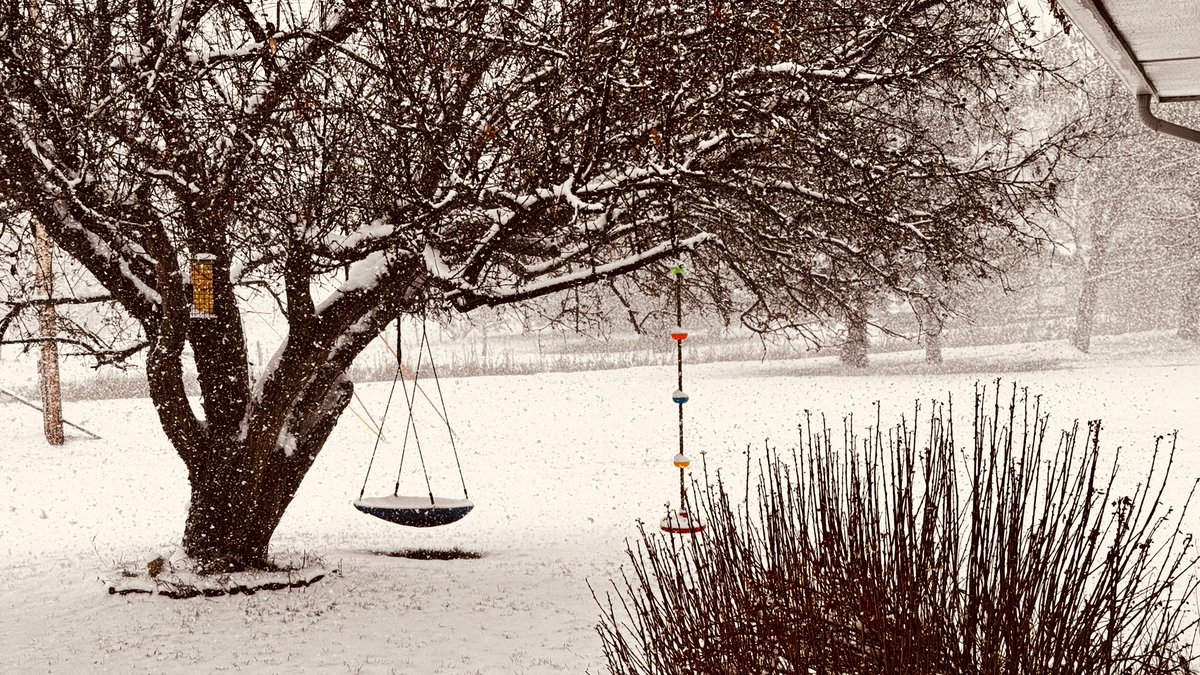 CondensedScore's tweet image. Good morning!