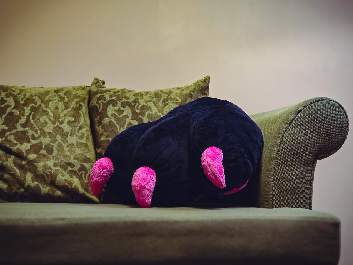 Paws'N'Pillows (@pawsnpillows) on Twitter photo New 3 toes pillow.
Want your own pillow?
Commissions are open!
📸: <a href="/CuriousGeck/">Curious Geck 🦎</a>
#furry #PawsNPillows New 3 toes pillow.
Want your own pillow?
Commissions are open!
📸: <a href="/CuriousGeck/">Curious Geck 🦎</a>
#furry #PawsNPillows
