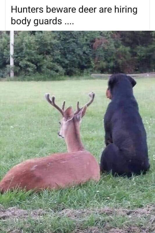 😉