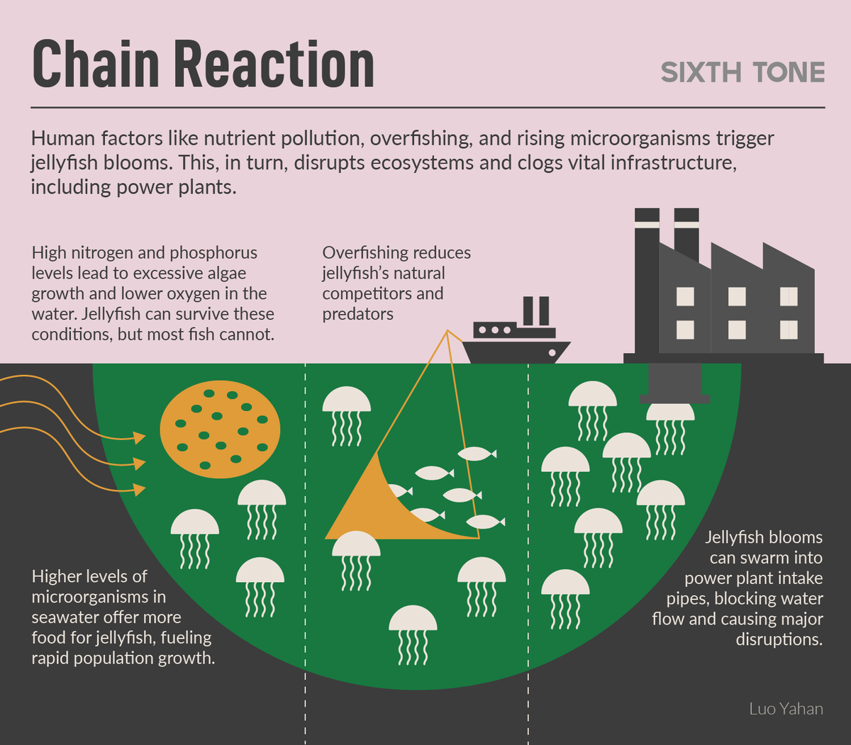 SixthTone's tweet photo. The unexpected surge of jellyfish overwhelmed cooling systems, forcing workers to work around the clock to clear blockages and avert shutdowns — a crisis affecting coastal infrastructure worldwide.

Read more: https://t.co/3TCU5mB9rX https://t.co/rVKsdjpLEJ