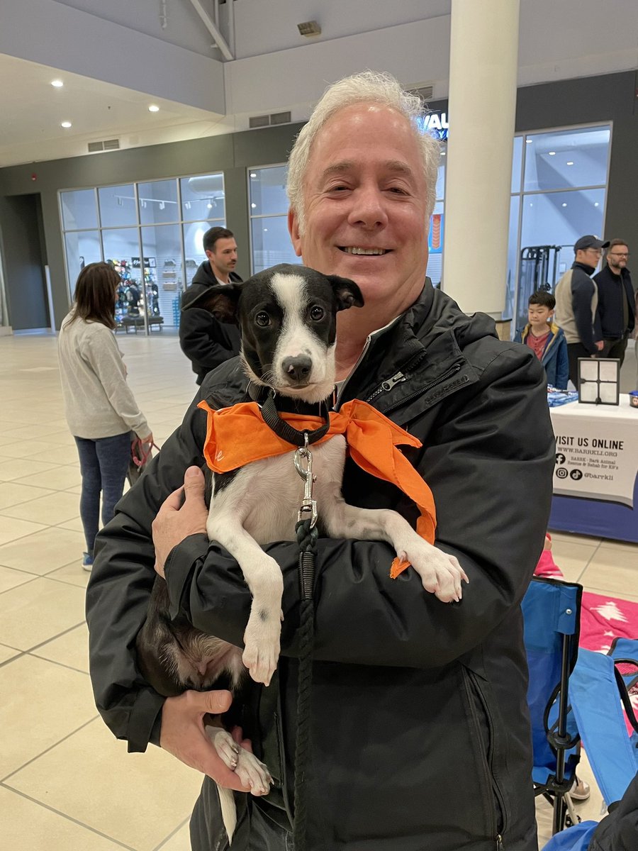 My husband and I went to a dog adoption event with our older son and his girlfriend, who were volunteering there. We were NOT going to adopt another dog. Absolutely, positively NOT.

Meet our new 3-month-old puppy (a rescue from PR). She adopted us, lol. Any ideas for a name? 🐶