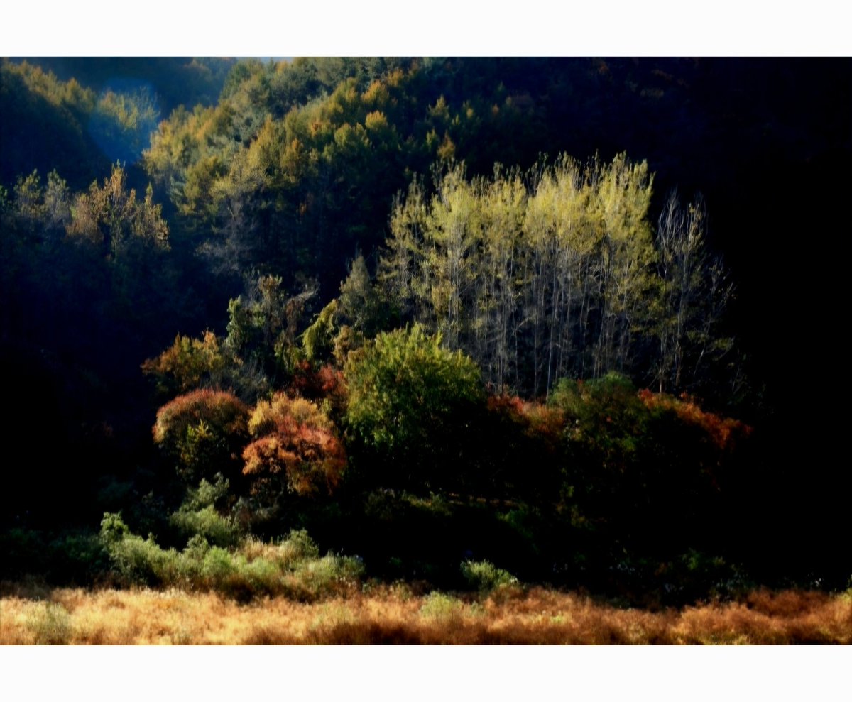 .
가을빛
아름답기만 한데