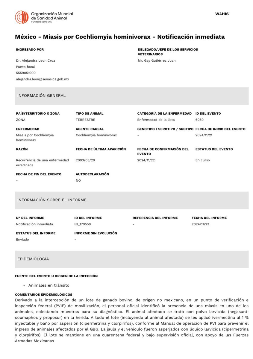 Claudia Sheinbaum y Morena son las plagas de Egipto 

ALERTA SANITARIA: CONFIRMAN INGRESO A #MÉXICO DE GANADO ENFERMO CON GUSANO BARRENADOR
Reacción tardía, negligente, del gobierno federal. Ganaderos han demandado el cierre de frontera sur a importaciones ante la epidemia que
