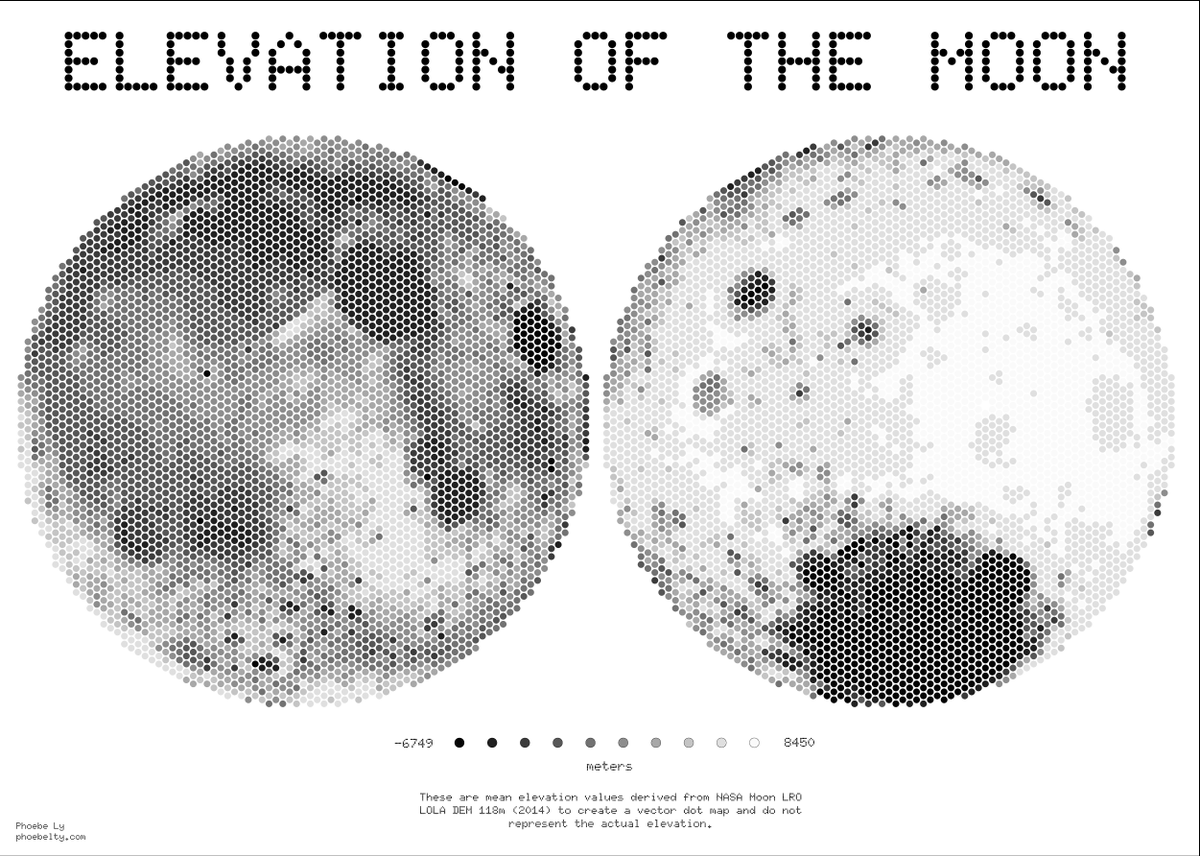 Phoebe L. tweet media