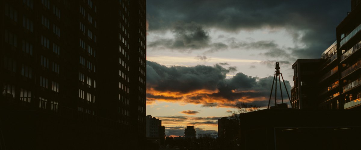 patrick. tweet media