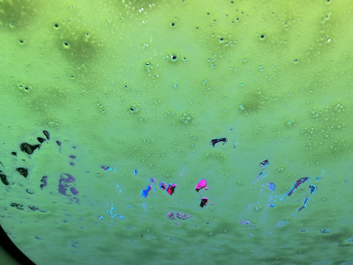 Sarah Miller tweet media