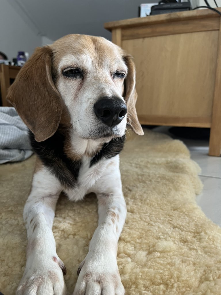 ehaffson tweet media