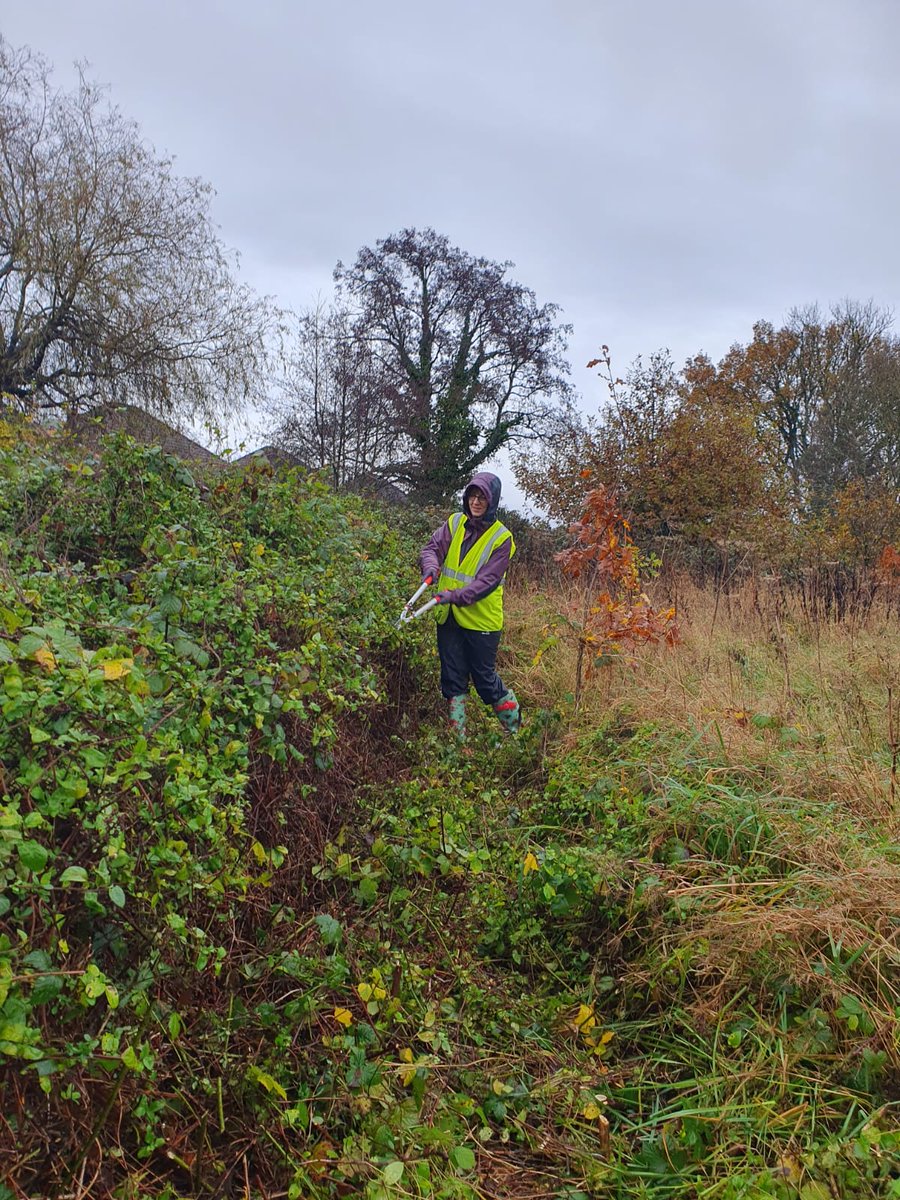 Despite the rainy weather today, we managed to coppice some willows on Boggy Meadow and removed some overgown bramble and invasive honeysuckles along the meadow. The last Workday this year is on 15 December 10am-12pm, come rain or shine. 🌧️🌦️⛅️☀️