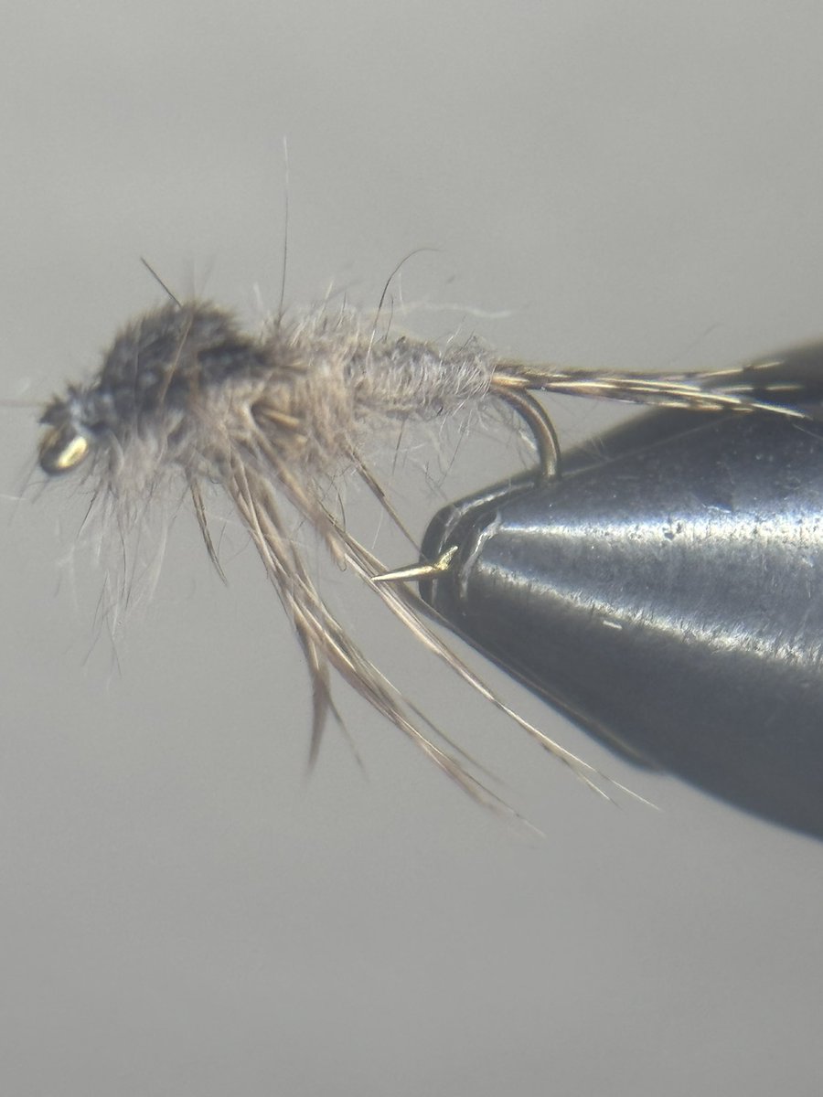 Alpine_flies's tweet photo. The difference of flies within the past 2 years is crazy  a few are form 2 years back and 1 year into fly tying the next are now 4 years in
#flyfishing #flyfishingaddict #flyfishinglife #flyfishingnation #flyfishingcolorado #flyfishingtrout #trout #flytying #flytyingjunkie https://t.co/TPhgQfTP0L