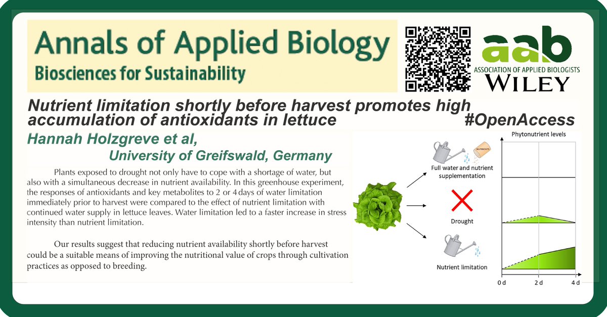 AnnalsApplBio's tweet image. Nutrient limitation shortly before harvest promotes high accumulation of antioxidants in lettuce 🥬🥬
🕸️ onlinelibrary.wiley.com/doi/full/10.11…
@wileyplantsci @AABiologists #openaccess