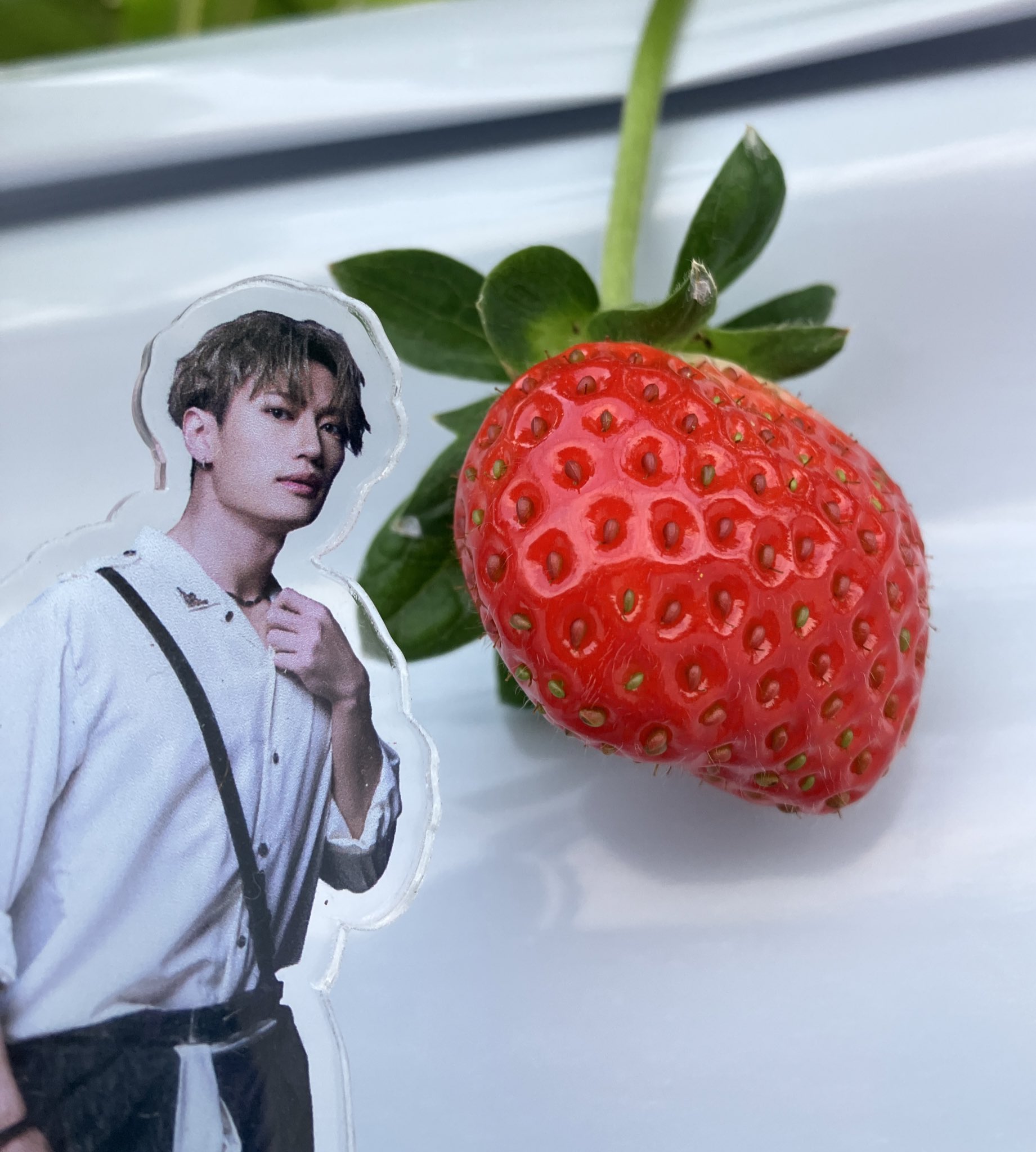 いちごさま専用ページ♡ いちご好きさんと繋がりたい - Search / X