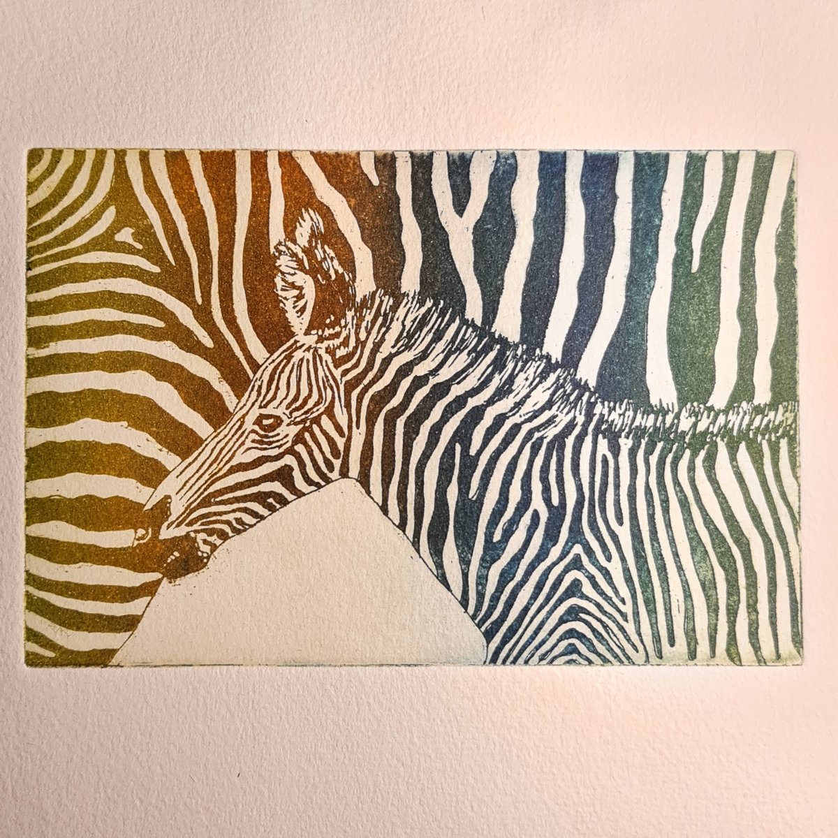 Svenja Meyer (@fminifera) on Twitter photo Time for #etching weekend again. It was a first for me to go for a vertebrate as a motive 😬 
It's always a bit of an adventure, never sure how the plate turns out until I finally print it. I do like how this one turned out 😊 Time for #etching weekend again. It was a first for me to go for a vertebrate as a motive 😬 
It's always a bit of an adventure, never sure how the plate turns out until I finally print it. I do like how this one turned out 😊