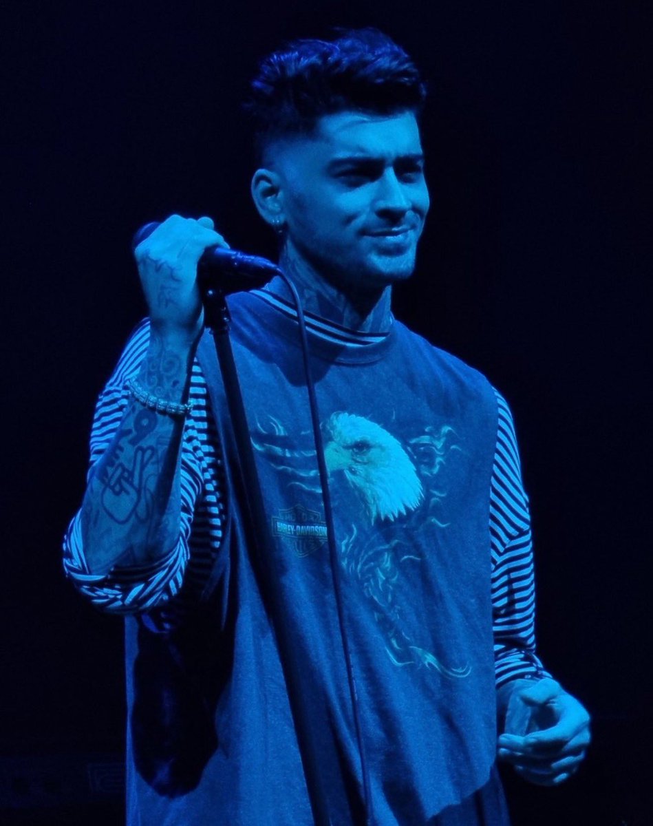 Si todos los hombres son iguales porque no son iguales a Zayn Malik