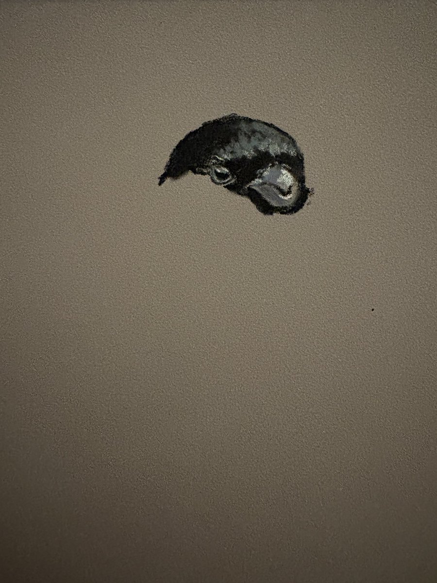 Anthony Robson (no longer in Edinburgh!) tweet media