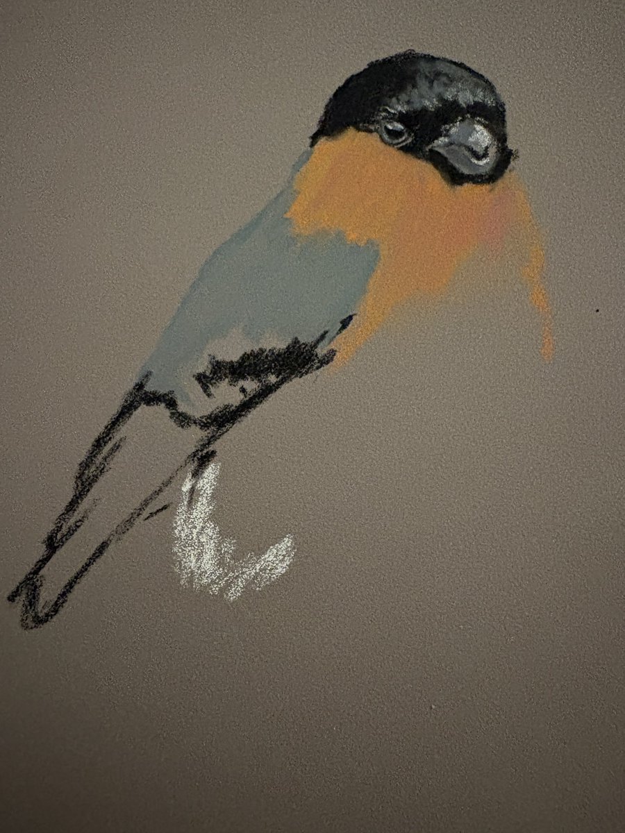 Anthony Robson (no longer in Edinburgh!) tweet media