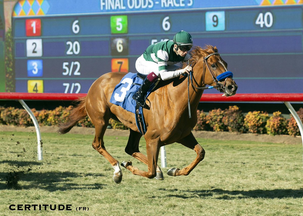Hronis Racing (@hronis_racing) on Twitter photo Certitude and <a href="/VCheminaud/">Cheminaud vincent</a> navigated the rail for the win on Saturday! 🏆⭐️🥇 📸 @benoitphoto__ Certitude and <a href="/VCheminaud/">Cheminaud vincent</a> navigated the rail for the win on Saturday! 🏆⭐️🥇 📸 @benoitphoto__