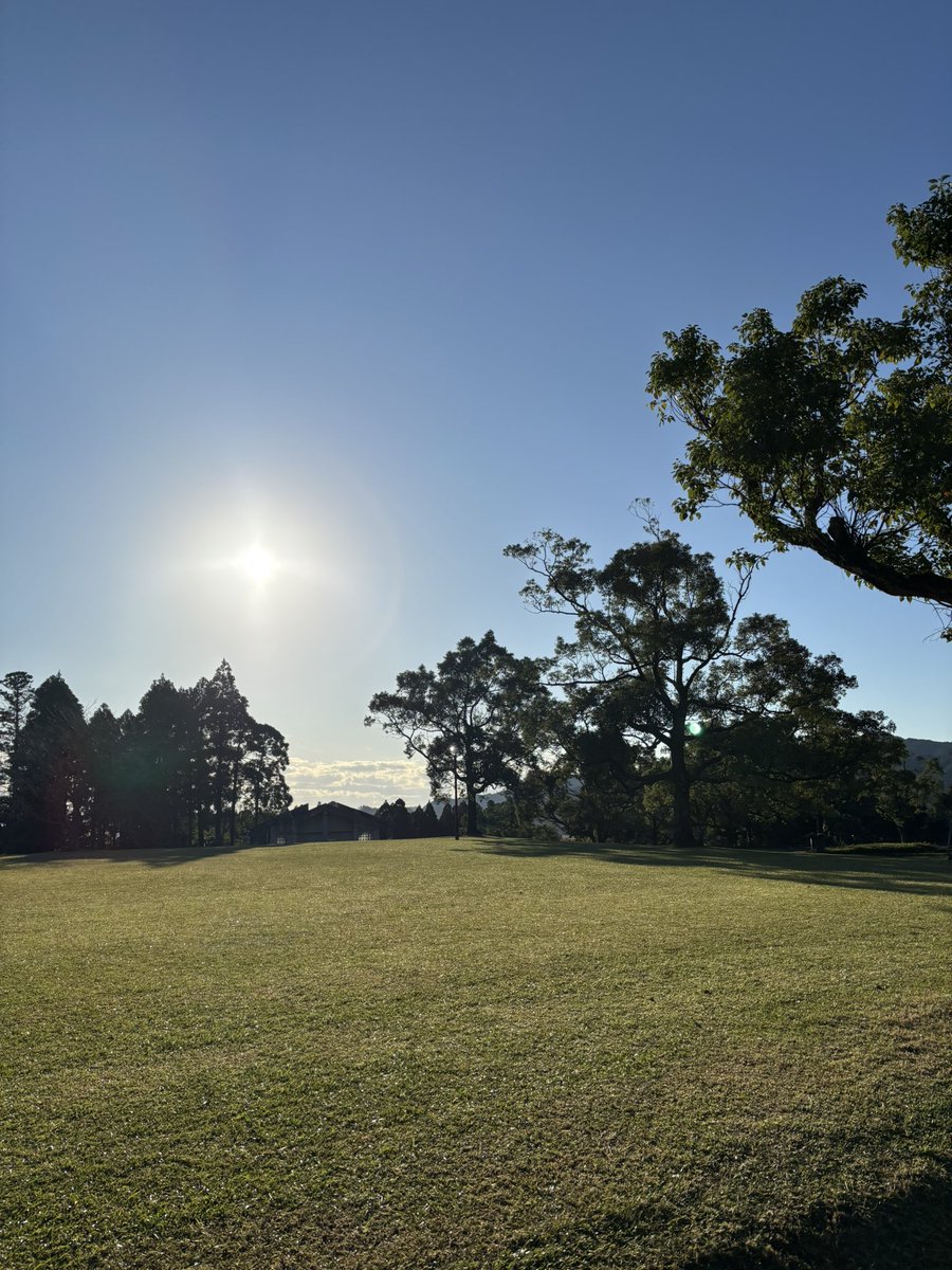 日光が良い☺️