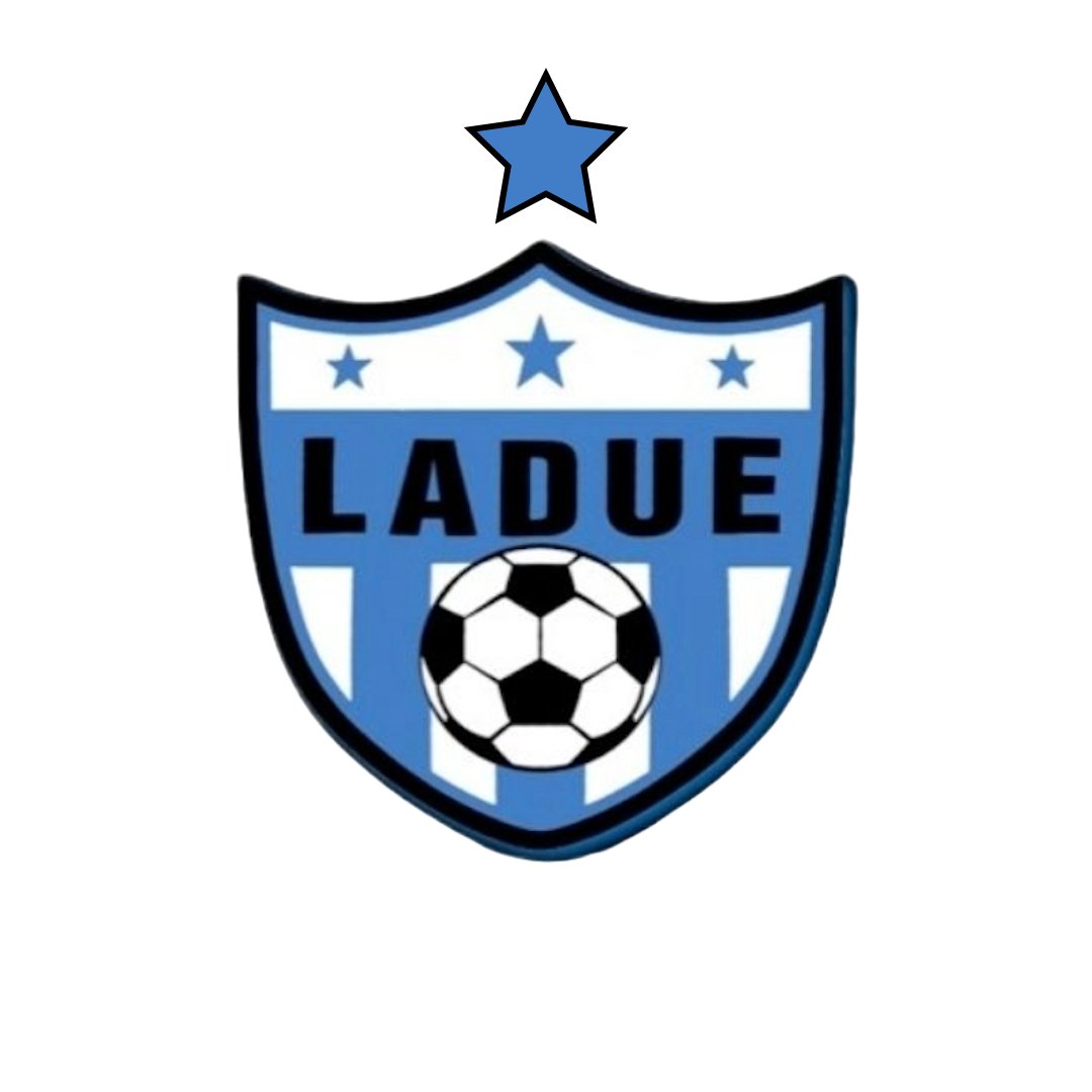 LadueSoccer's tweet photo. New crest: A star is born! #JobsDone https://t.co/BVVeYbz1Zg