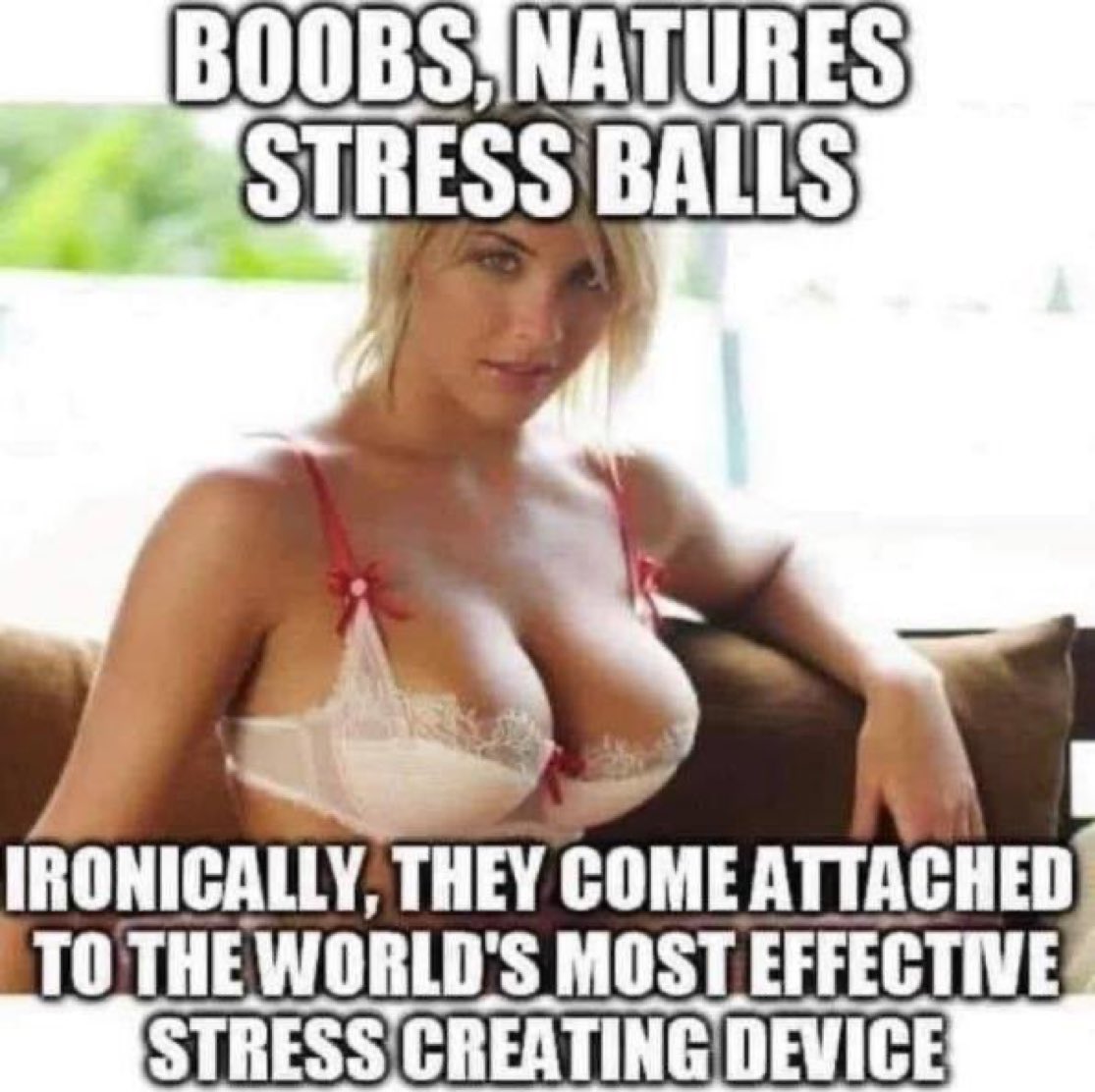 MarindaVannoy1's tweet image. 😂😅