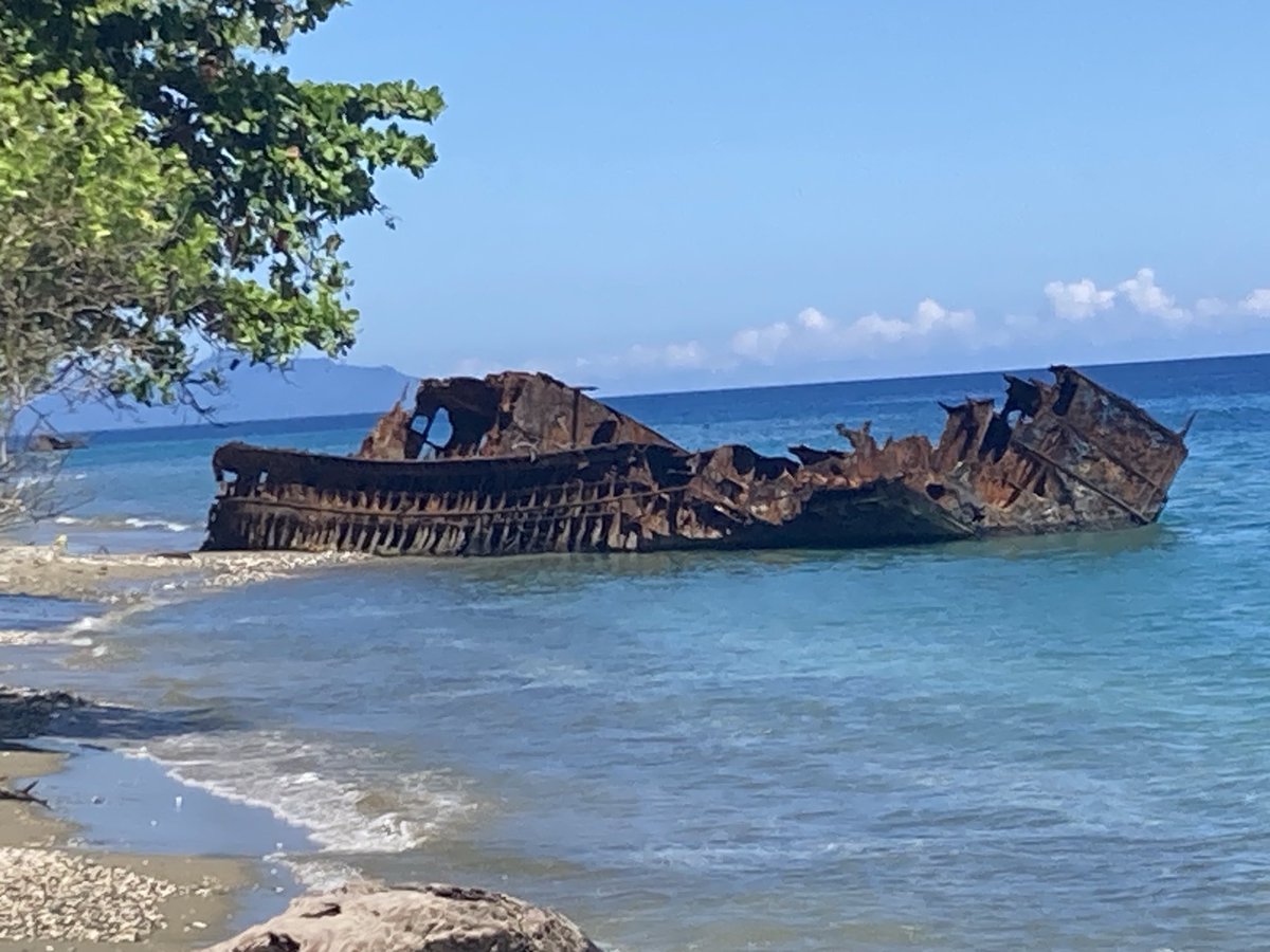 Simon Loftus tweet media