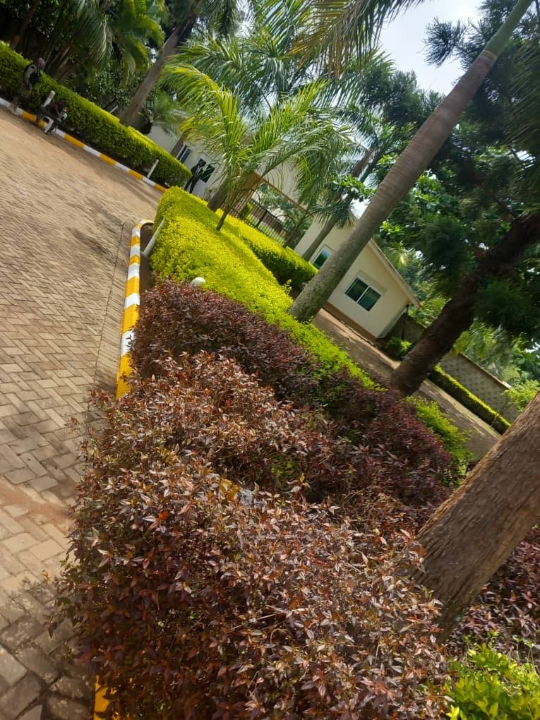 mukulaa's tweet photo. In order to maintain a clean environment and city we are going to reinstate our original system of #KEEPSOROTICLEAN exercise to be carried out every last Saturday of every month….And #GO GREEN tree 🌳 planting exercise every month in soroti…..watch this space 🙌 https://t.co/pZhGNzLeEw