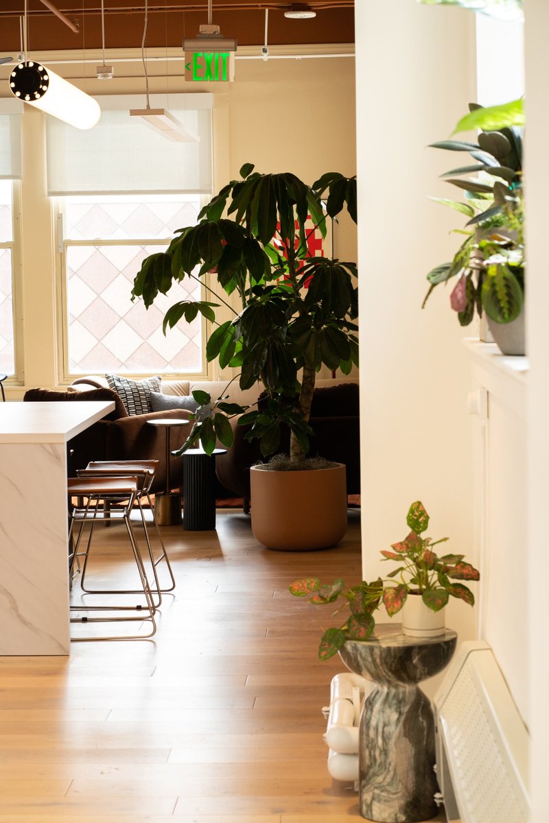 pk_iv's tweet photo. it's important to have a beautiful office if you want to excite people to come. https://t.co/L2LimKxgGs