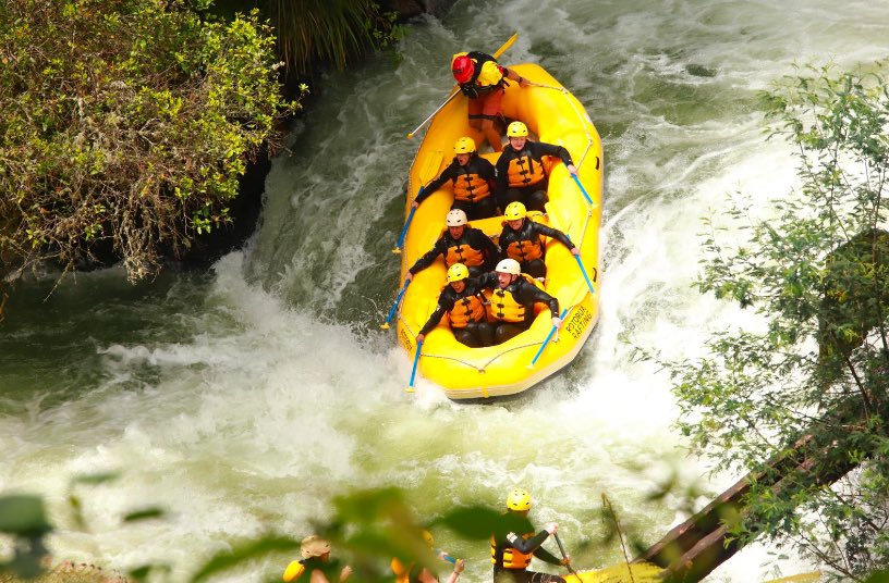 Meinir Thomas tweet media