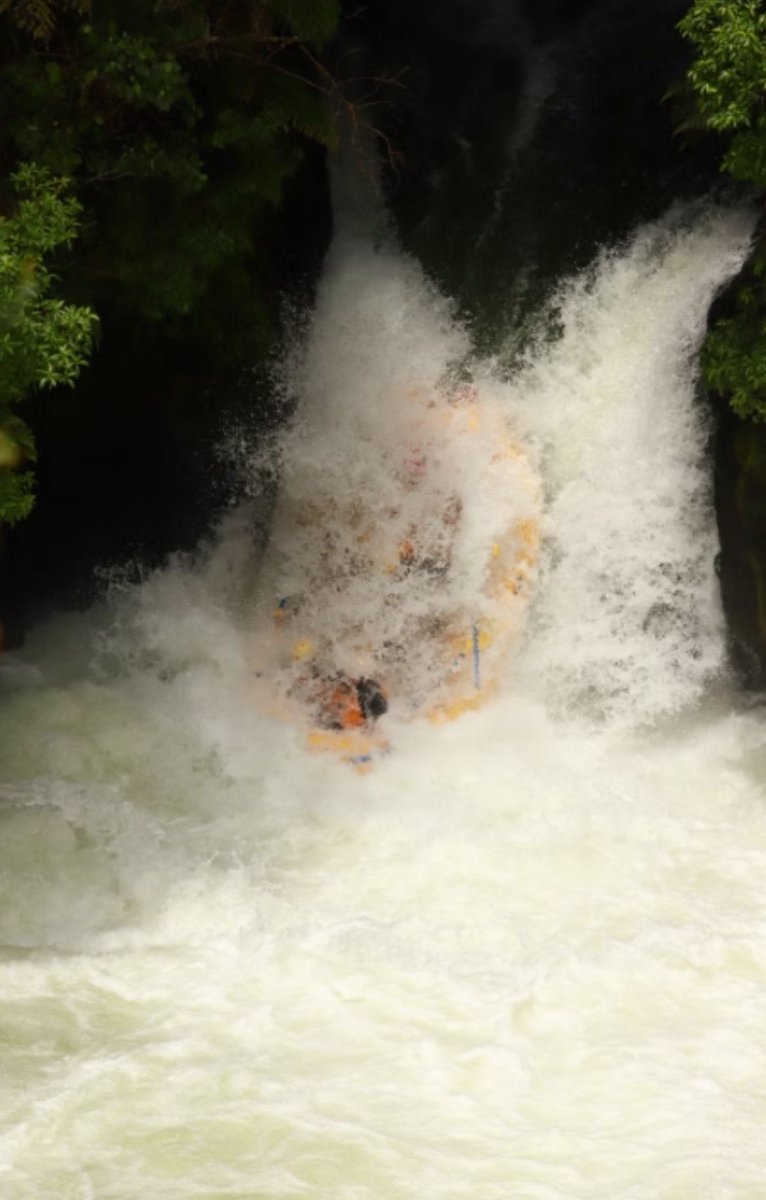 Meinir Thomas tweet media