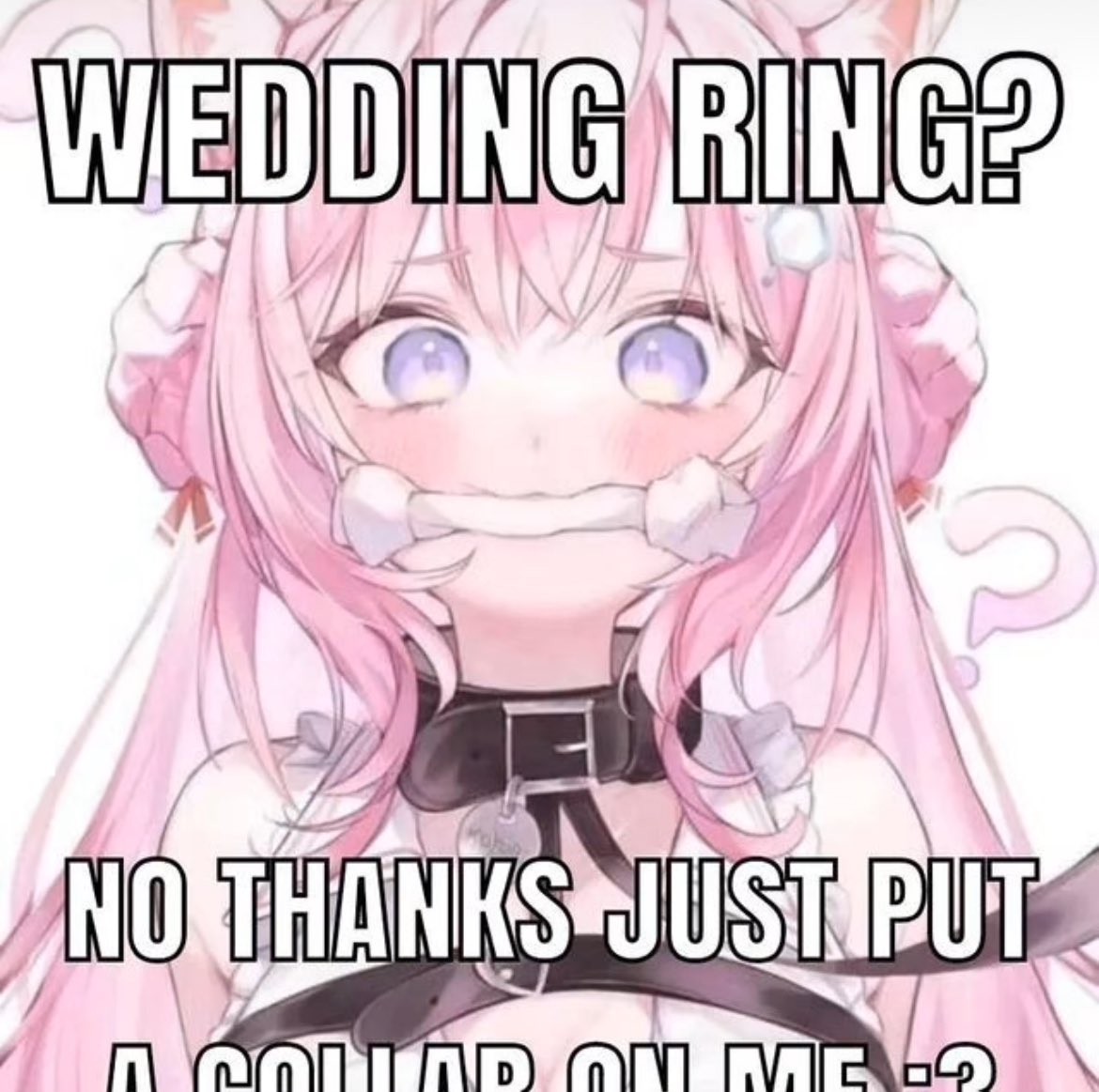 Kiwi 🏳️‍⚧️ (@choppers_stuff) on Twitter photo 