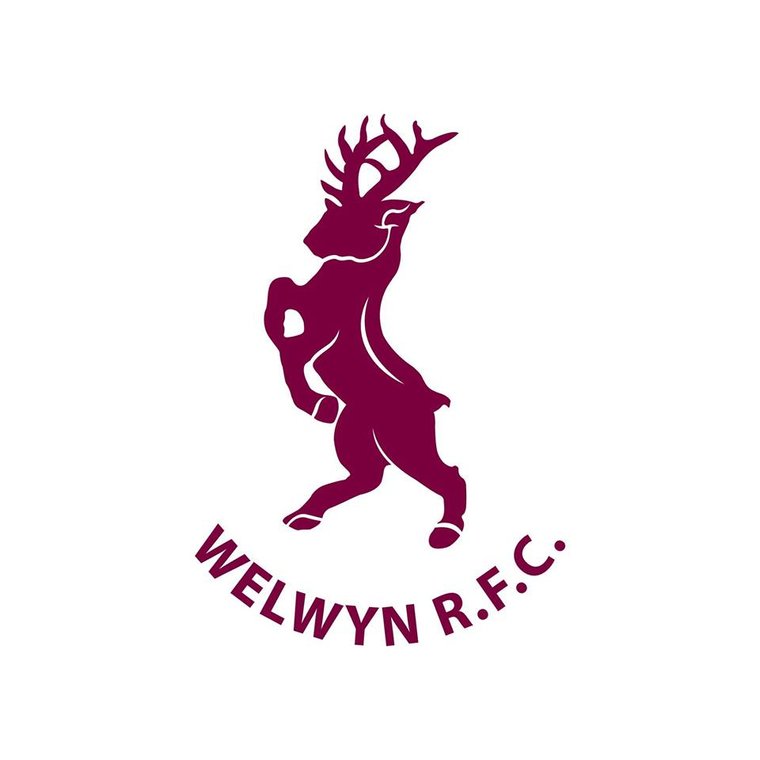 WelwynRugby's tweet photo. Welwyn Men 1st XV 26-24 Ruislip #Pitchero
https://t.co/p0YEZe4U8i https://t.co/aS6ptY4QJS