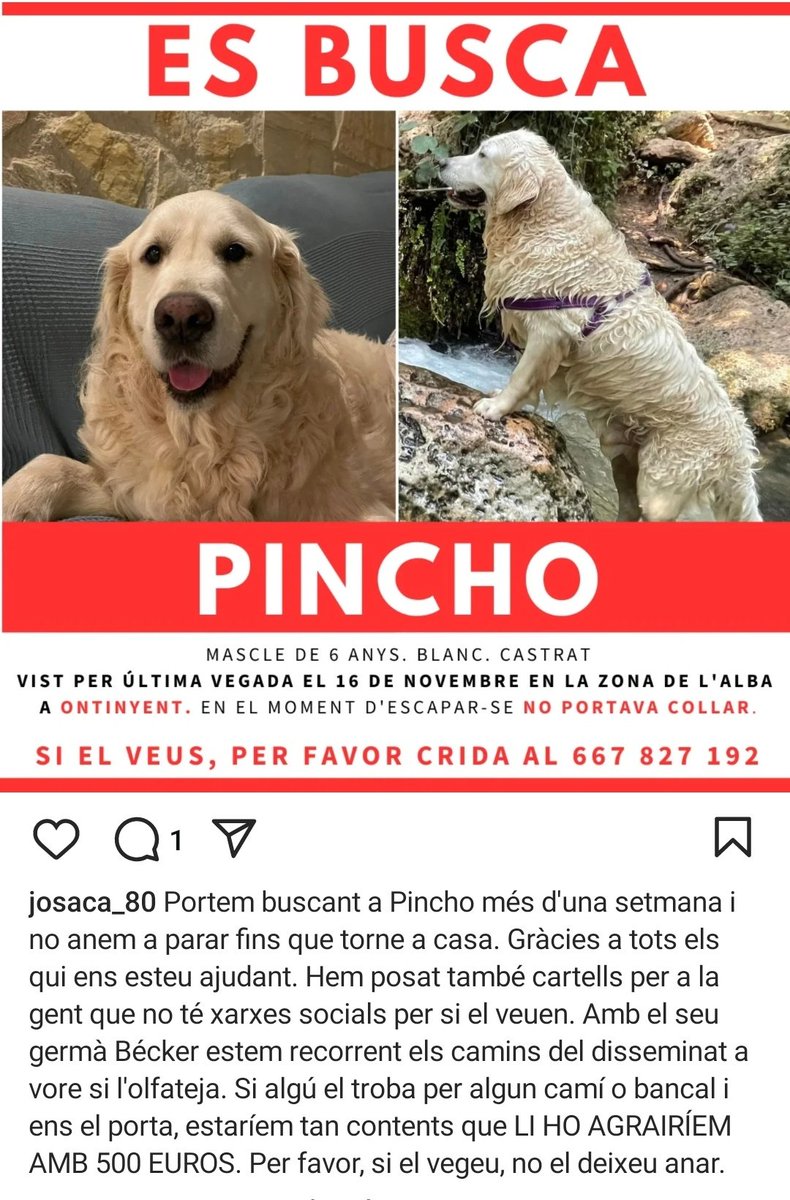 Joan Sanchis (@joan_ontinyent) on Twitter photo 