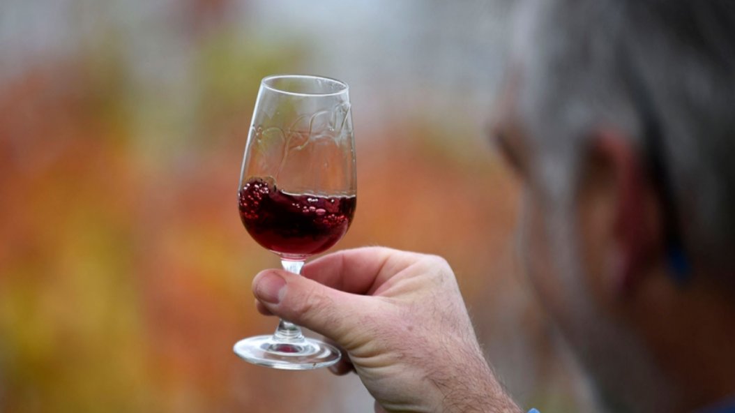 Le Beaujolais nouveau 2024 a débarqué ce jeudi et est toujours aussi dégueulasse !

#beaujolais #vin